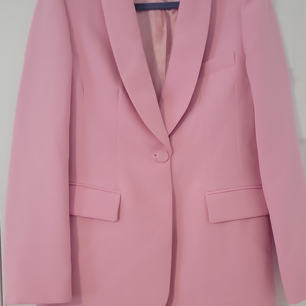 Zara Blush Pink Suit Jacket